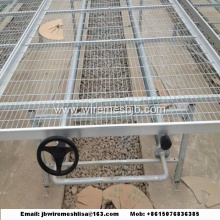 Galvanized Welded Wire Mesh Greenhouse Rolling Benches